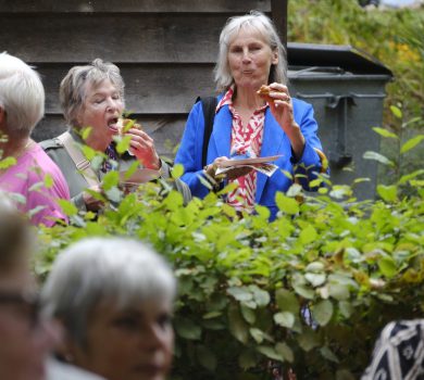 540506526_1523673592400976_4112801737465757306_n